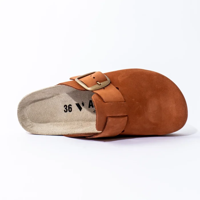 Zenit anatomske klompe - Terra