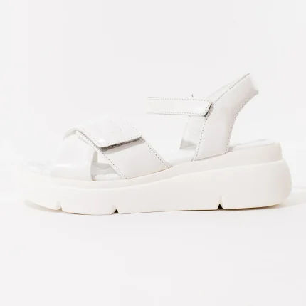 Ženske Scholl sandale - Bali - Obuća Scholl