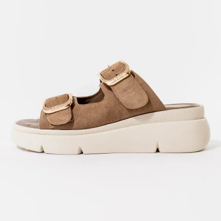 Ženske Scholl papuče Bali Buckle - Taupe - Obuća Scholl