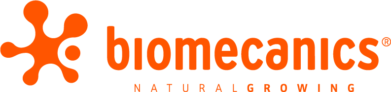 Biomecanics dječija obuća